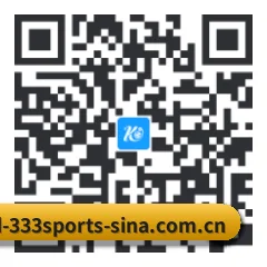 系统版 iOS 二维码